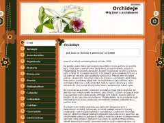 Orchideje
