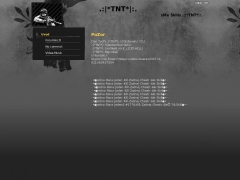 .:|*TNT*|:.