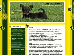 CHS AUSTRIND