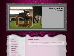 Black Jack P
