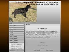 CHS z Hejboldu   -          chesapeake bay retr�vr