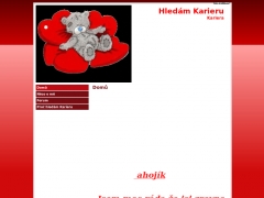 Hledm Karieru