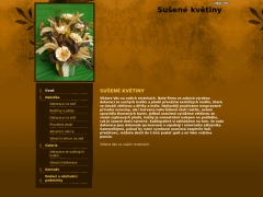 Suen kvtiny