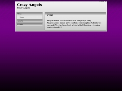 Crazy Angels