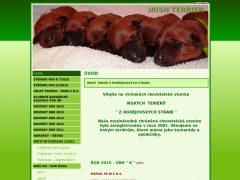 IRISH TERRIER