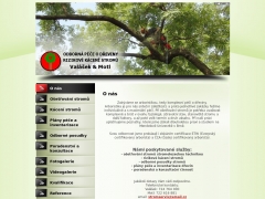 OETOVN A RIZIKOV KCEN  STROM