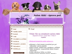 Salon Akki - prava ps