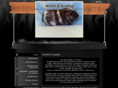 NCHS Z Grafitu