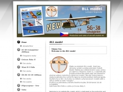 BLL model