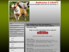 Bullterrier Z LIKAVY